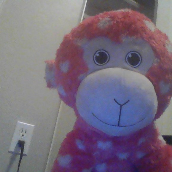 Valentines bear with white hearts. {Recommended for ages 2 & up.} - Picture 5 of 5